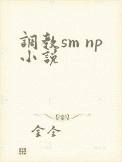 调教sm np小说封面