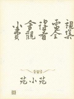 小舍得电视剧免费观看全集剧情
