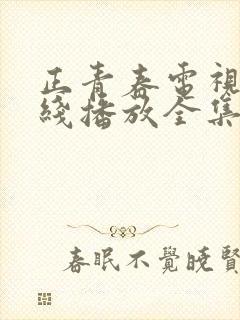 正青春电视剧在线播放全集免费封面