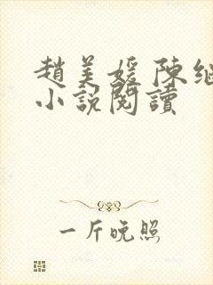 赵美媛 陈继来小说阅读封面