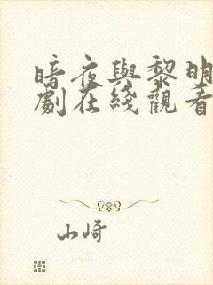 暗夜与黎明电视剧在线观看高清