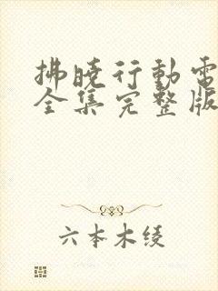 拂晓行动电视剧全集完整版免费