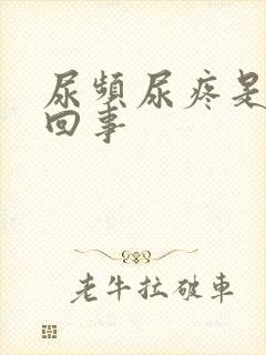 尿频尿疼是怎么回事