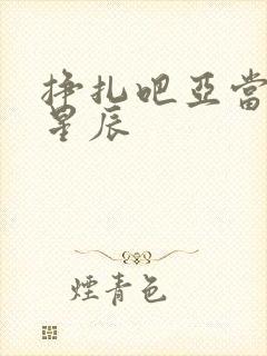 挣扎吧亚当军君星辰