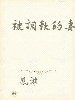 被调教的妻子封面