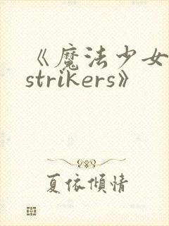 《魔法少女奈叶strikers》封面
