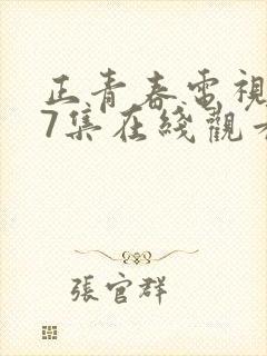 正青春电视剧47集在线观看免费封面