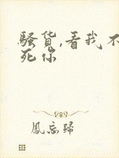 骚货,看我不操死你