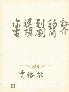 你迟到的许多年电视剧简介