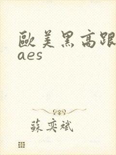 欧美黑高跟熟妇aes