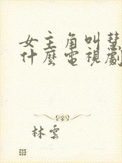 女主角叫慧珍是什么电视剧