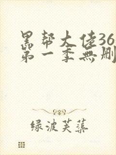 黑帮大佬365第一季无删减