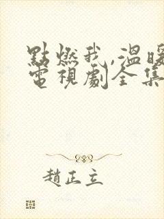 点燃我,温暖你电视剧全集免费下载