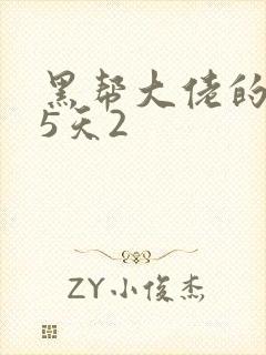 黑帮大佬的365天2