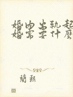 婚内出轨起诉离婚需要什么证据