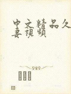 中文精品久久人妻视频