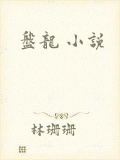 盘龙 小说封面