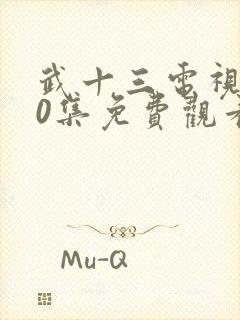 武十三电视剧40集免费观看