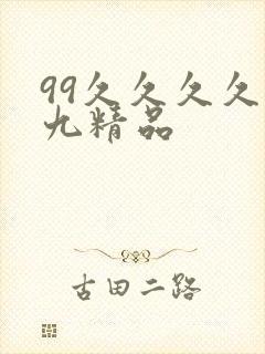 99久久久久久九精品