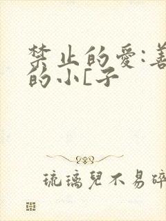禁止的爱:善良的小[子封面