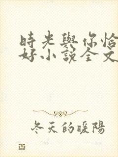 时光与你恰是正好小说全文免费阅读