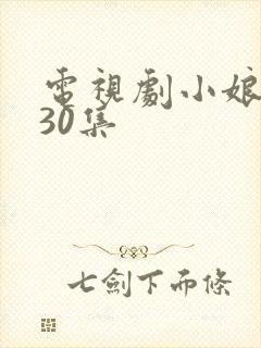 电视剧小娘惹第30集