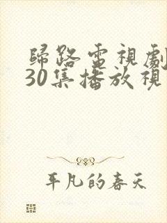 归路电视剧全集30集播放视频