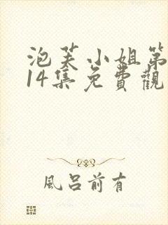 泡芙小姐第六季14集免费观看全集