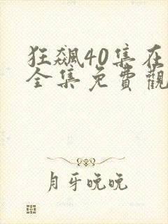 狂飙40集在线全集免费观看高清