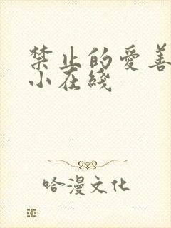 禁止的爱善良的小在线
