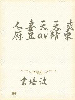 人妻天天爽三区麻豆av精东影业