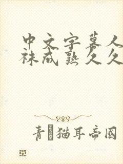 中文字幕人妻丝袜成熟久久封面