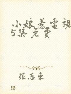 小娘惹电视剧45集免费