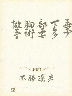 做胸部下垂矫正手术要多少钱