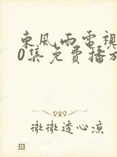 东风雨电视剧40集免费播放在线观看