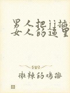 男人把jj插进女人的逼里