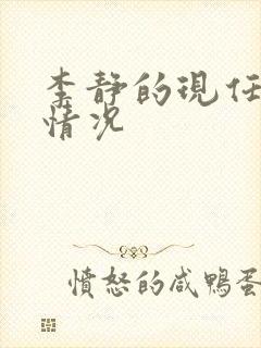 李静的现任丈夫情况封面