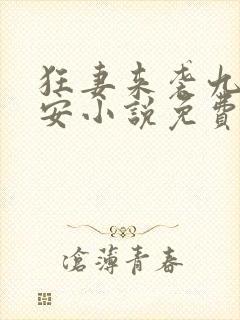 狂妻来袭九爷早安小说免费阅读全文