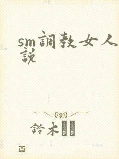 sm调教女人小说封面