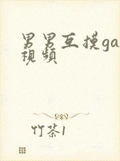 男男互摸gay视频
