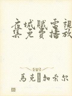 夜城赋电视剧全集免费播放