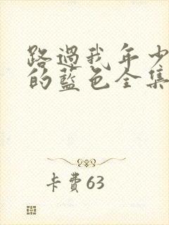 路过我年少时光的蓝色全集在哪看