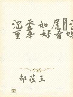 沉香如屑·沉香重华 好看吗封面