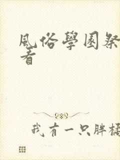 风俗学园祭在线看封面