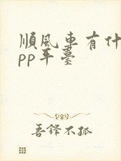 顺风车有什么app平台