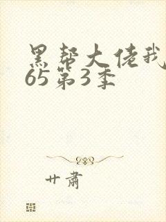 黑帮大佬我的365第3季