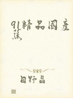 91精品国产香蕉封面