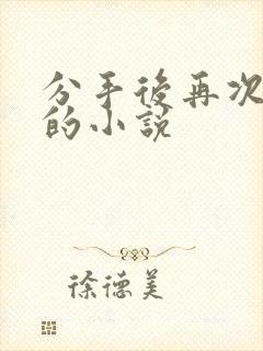 分手后再次重逢的小说