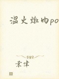 温火炖肉pop