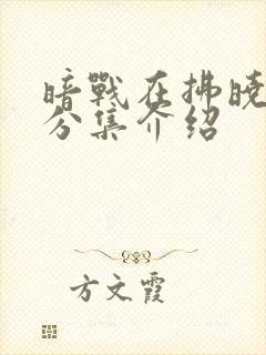 暗战在拂晓之前分集介绍封面